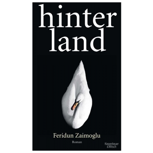 Feridun Zaimoglu - Hinterland