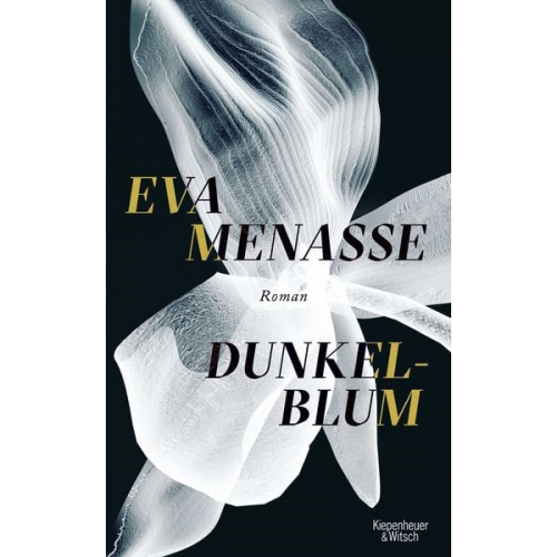 Eva Menasse - Dunkelblum