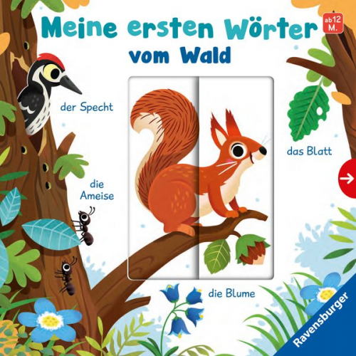 Cornelia Frank - Meine ersten Wörter vom Wald - Sprechen lernen mit großen Schiebern und Sachwissen für Kinder ab 12 Monaten