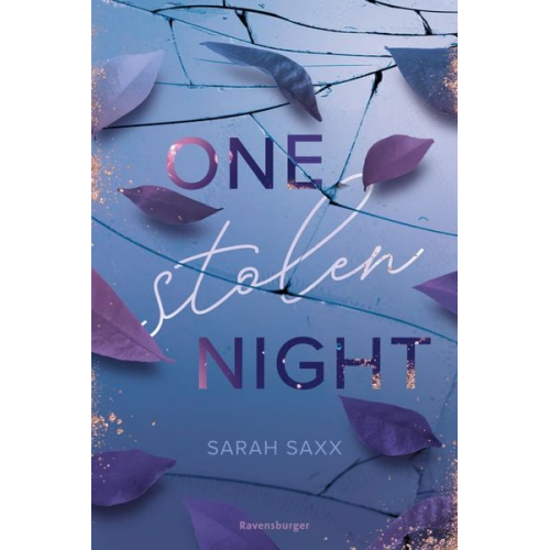 Sarah Saxx - One Stolen Night