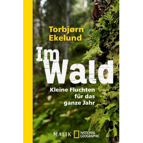 Torbjørn Ekelund - Im Wald