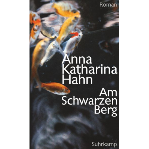 Anna Katharina Hahn - Am Schwarzen Berg