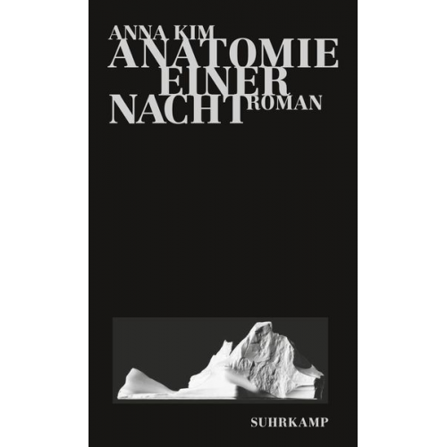 Anna Kim - Anatomie einer Nacht