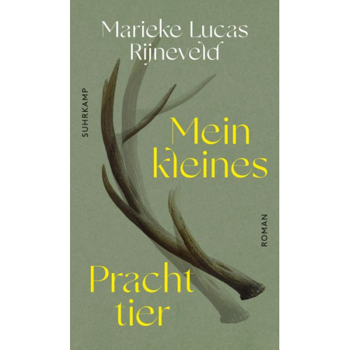 Lucas Rijneveld - Mein kleines Prachttier