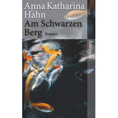 Anna Katharina Hahn - Am Schwarzen Berg