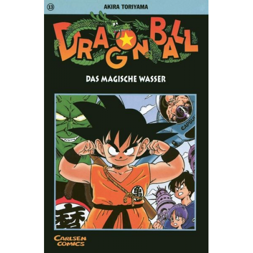 Akira Toriyama - Dragon Ball 13