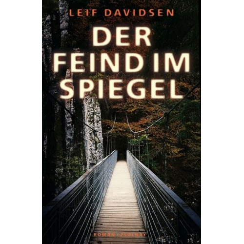 Leif Davidsen - Der Feind im Spiegel