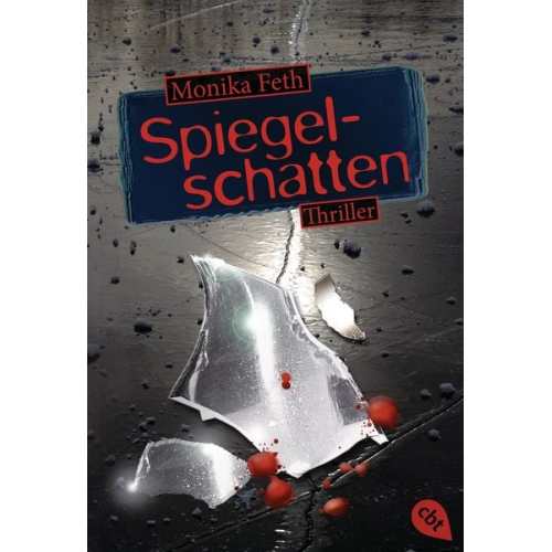 Monika Feth - Spiegelschatten / Romy-Thriller Band 2