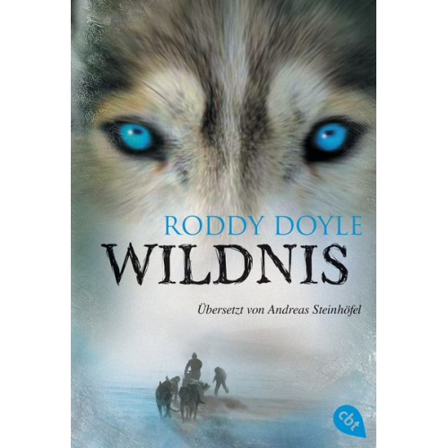 Roddy Doyle - Wildnis