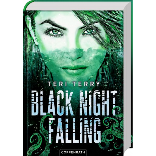 Teri Terry - Black Night Falling (Bd. 3)