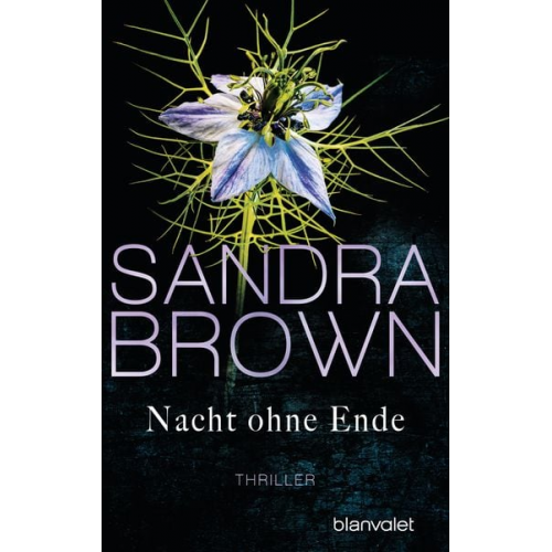 Sandra Brown - Nacht ohne Ende