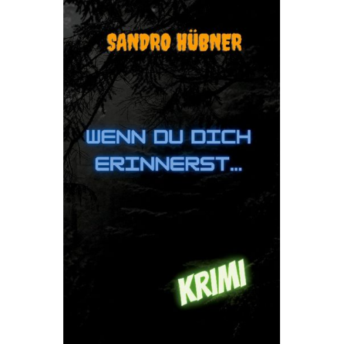 Sandro Hübner - Wenn du dich erinnerst...