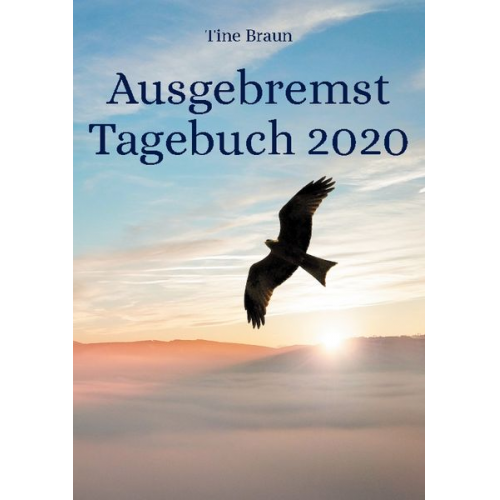 Tine Braun - Ausgebremst Tagebuch 2020