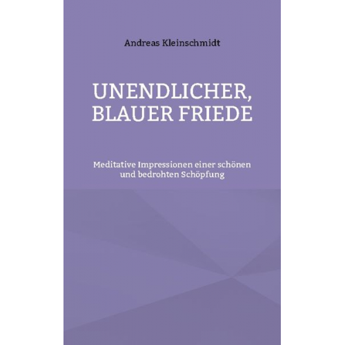 Andreas Kleinschmidt - Unendlicher, blauer Friede