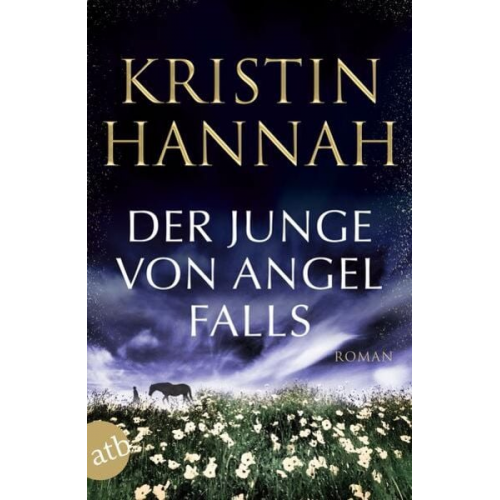 Kristin Hannah - Der Junge von Angel Falls