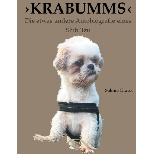 Sabine Grassy - Krabumms