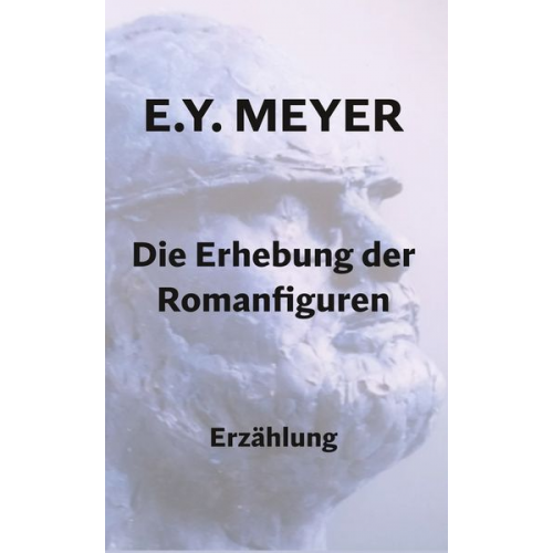 E. Y. Meyer - Die Erhebung der Romanfiguren