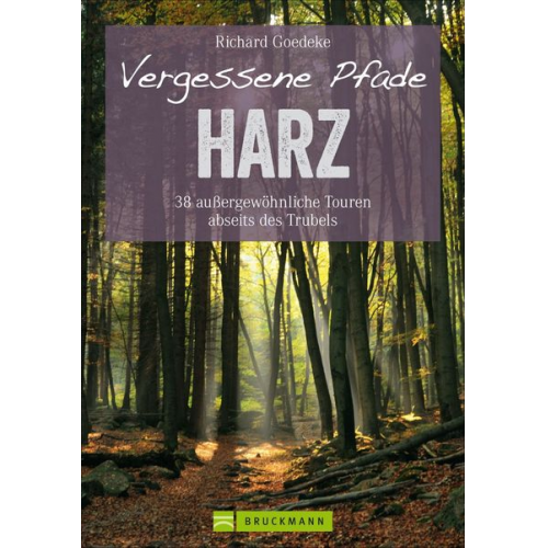 Richard Goedeke - Vergessene Pfade Harz