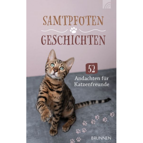 BroadStreet Publishing Group LLC - Samtpfotengeschichten