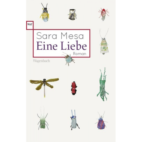 Sara Mesa - Eine Liebe