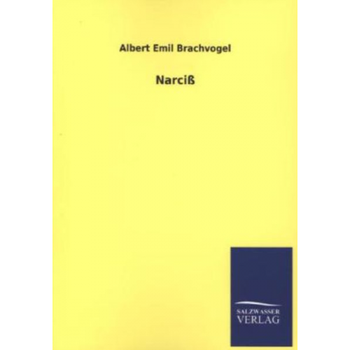 Albert Emil Brachvogel - Narciß