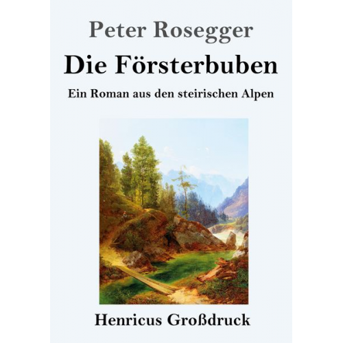 Peter Rosegger - Die Försterbuben (Großdruck)