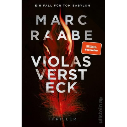 Marc Raabe - Violas Versteck