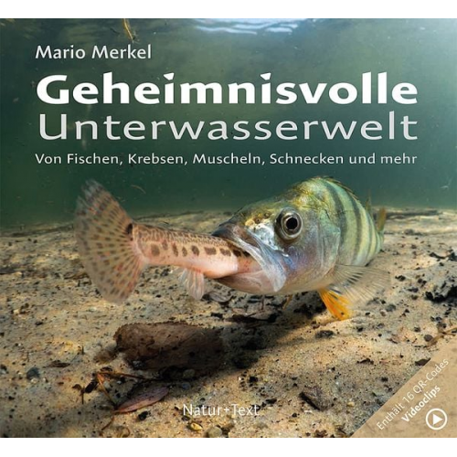 Mario Merkel - Geheimnisvolle Unterwasserwelt