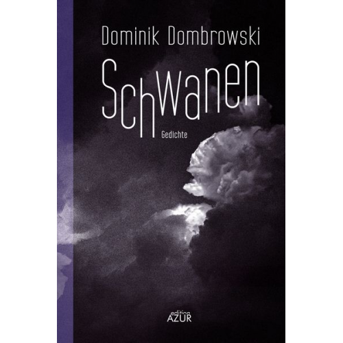 Dominik Dombrowski - Schwanen. Gedichte