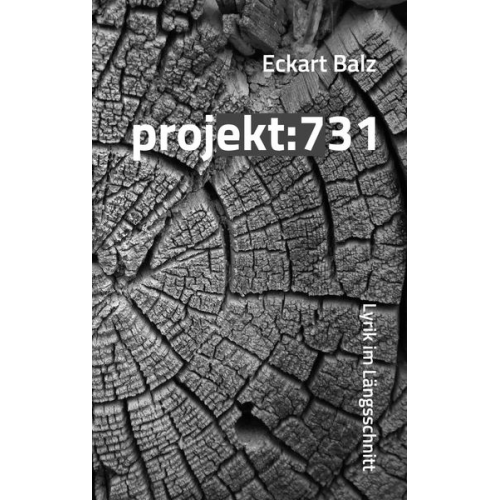 Eckart Balz - Projekt: 731