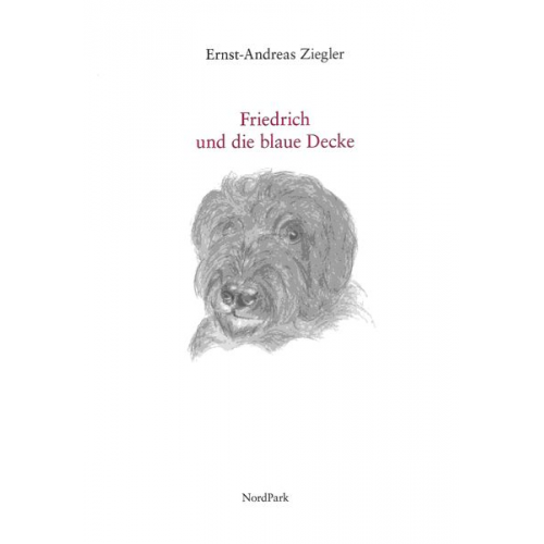 Ernst-Andreas Ziegler - Friedrich und die blaue Decke