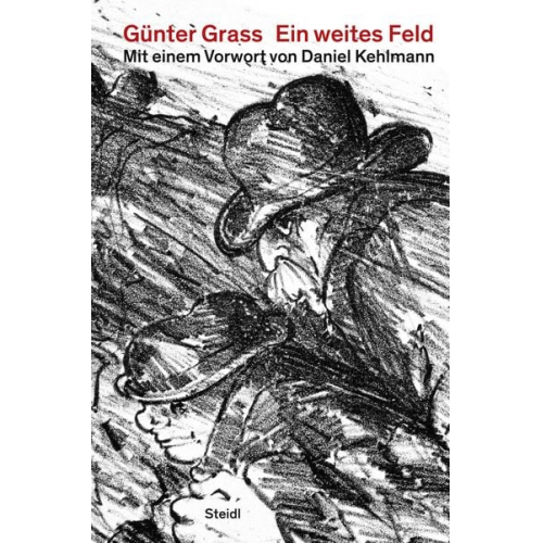 Günter Grass - Ein weites Feld