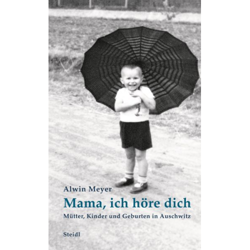 Alwin Meyer - Mama, ich höre dich