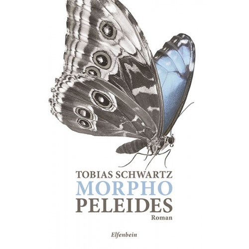 Tobias Schwartz - Morpho peleides