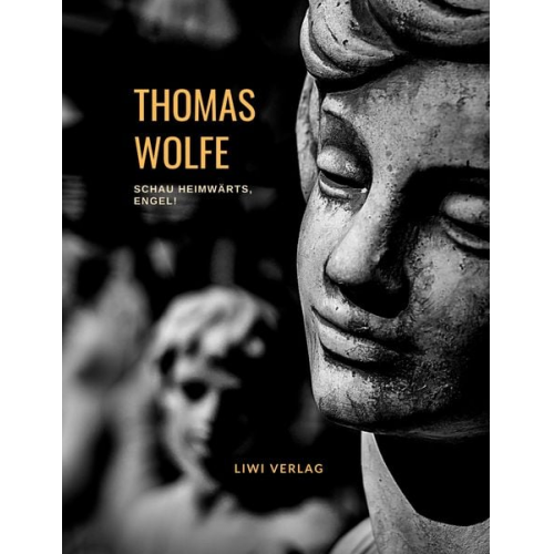 Thomas Wolfe - Thomas Wolfe: Schau heimwärts, Engel! Eine Geschichte vom begrabnen Leben (Roman)