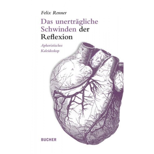 Felix Renner - Das unerträgliche Schwinden der Reflexion