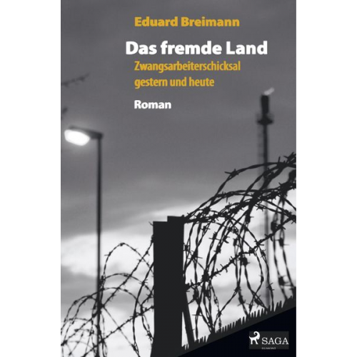 Eduard Breimann - Das fremde Land