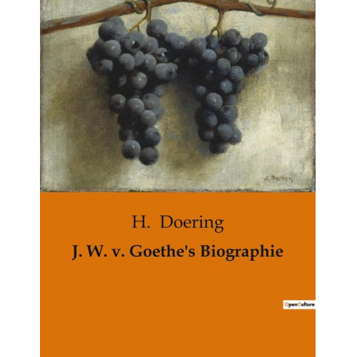 H. Doering - J. W. v. Goethe's Biographie