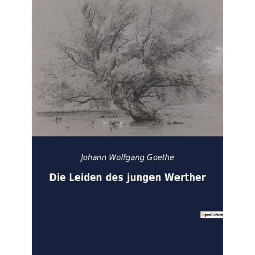 Johann Wolfgang von Goethe - Die Leiden des jungen Werther