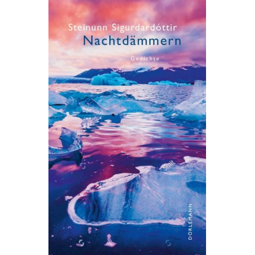 Steinunn Sigurdardóttir - Nachtdämmern