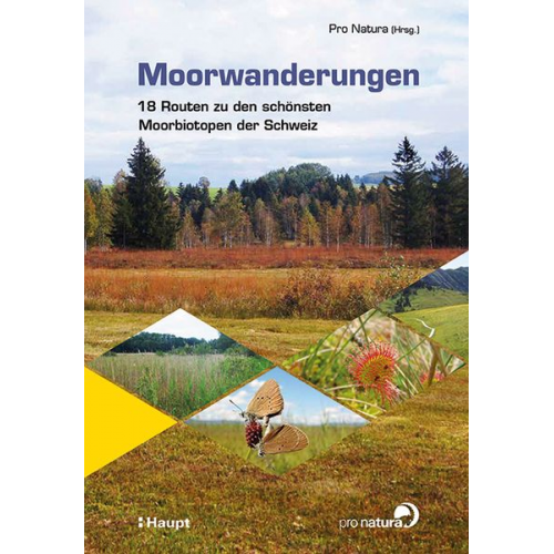 Moorwanderungen