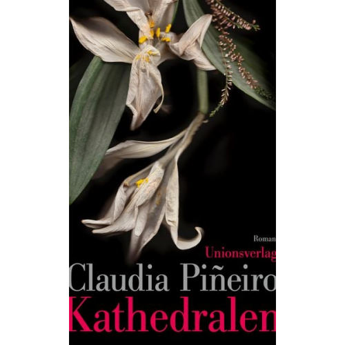 Claudia Piñeiro - Kathedralen