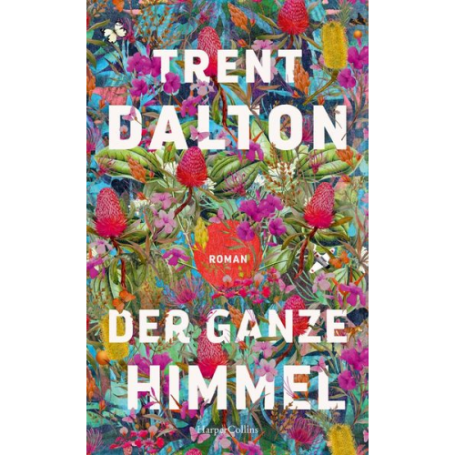 Trent Dalton - Der ganze Himmel