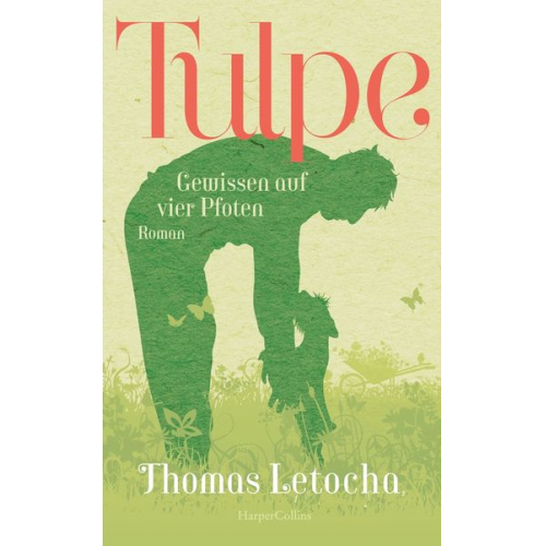 Thomas Letocha - Tulpe