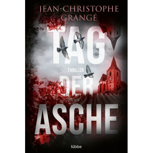 Jean-Christophe Grangé - Tag der Asche