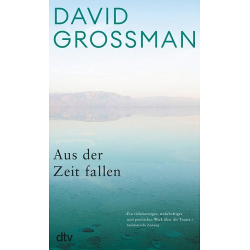 David Grossman - Aus der Zeit fallen