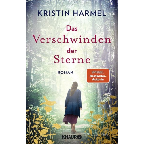 Kristin Harmel - Das Verschwinden der Sterne