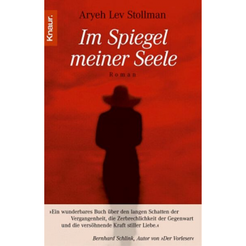 Aryeh L. Stollman - Im Spiegel meiner Seele