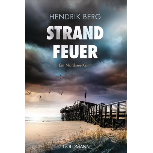 Hendrik Berg - Strandfeuer