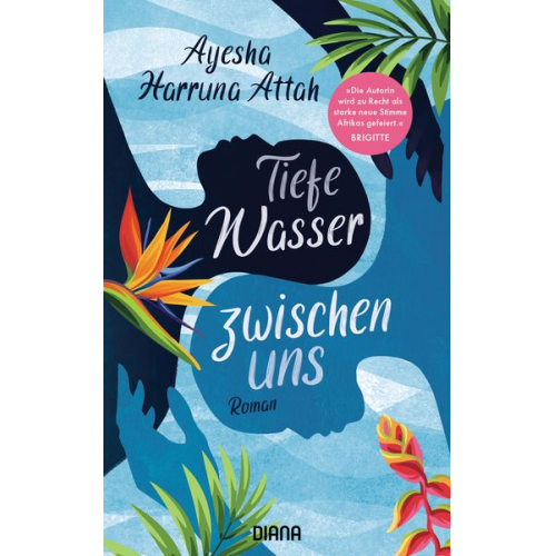 Ayesha Harruna Attah - Tiefe Wasser zwischen uns